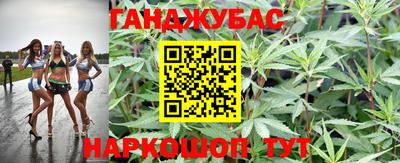 PSILOCYBIN Канаш