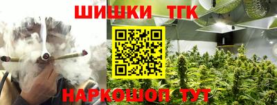 мдпв Камышлов