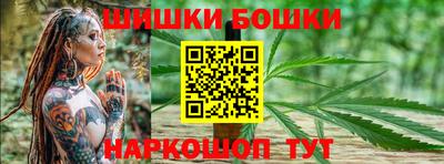 мдпв Камышлов