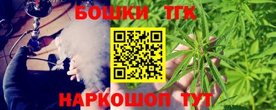 мдпв Камышлов