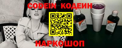 мдпв Камышлов