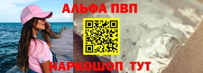 мдпв Камышлов