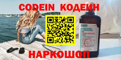 мдпв Камышлов
