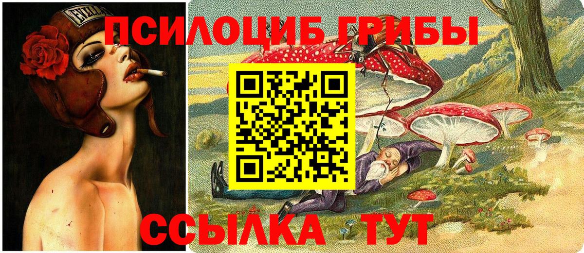 Псилоцибиновые грибы Psilocybe  Вход с VPN  Кропоткин  Галлюциногенные грибы прущие грибы 