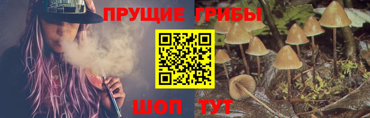 Галлюциногенные грибы GOLDEN TEACHER Кропоткин